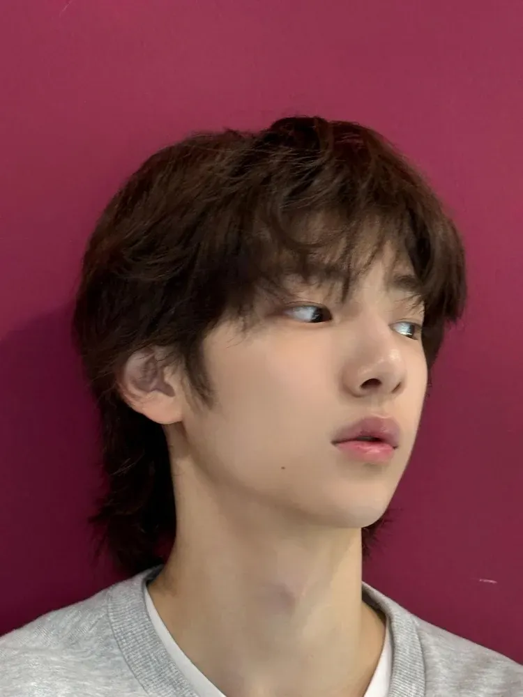 hashtag #멤표 - 안건호 유사랑 (물갈) 강해린 마에다 리쿠 (개인사정) | 인스티즈