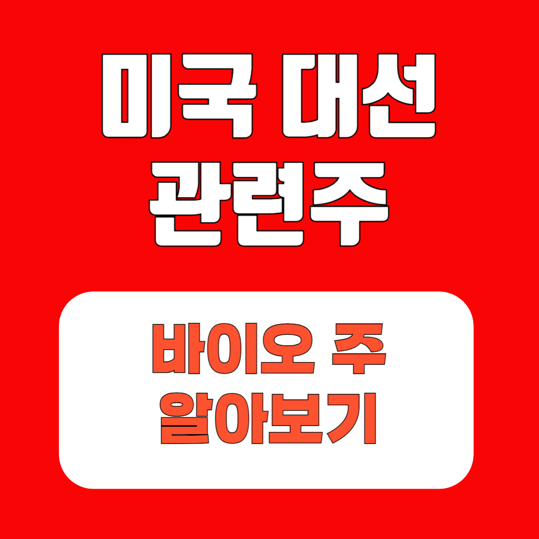 아로스 팝업