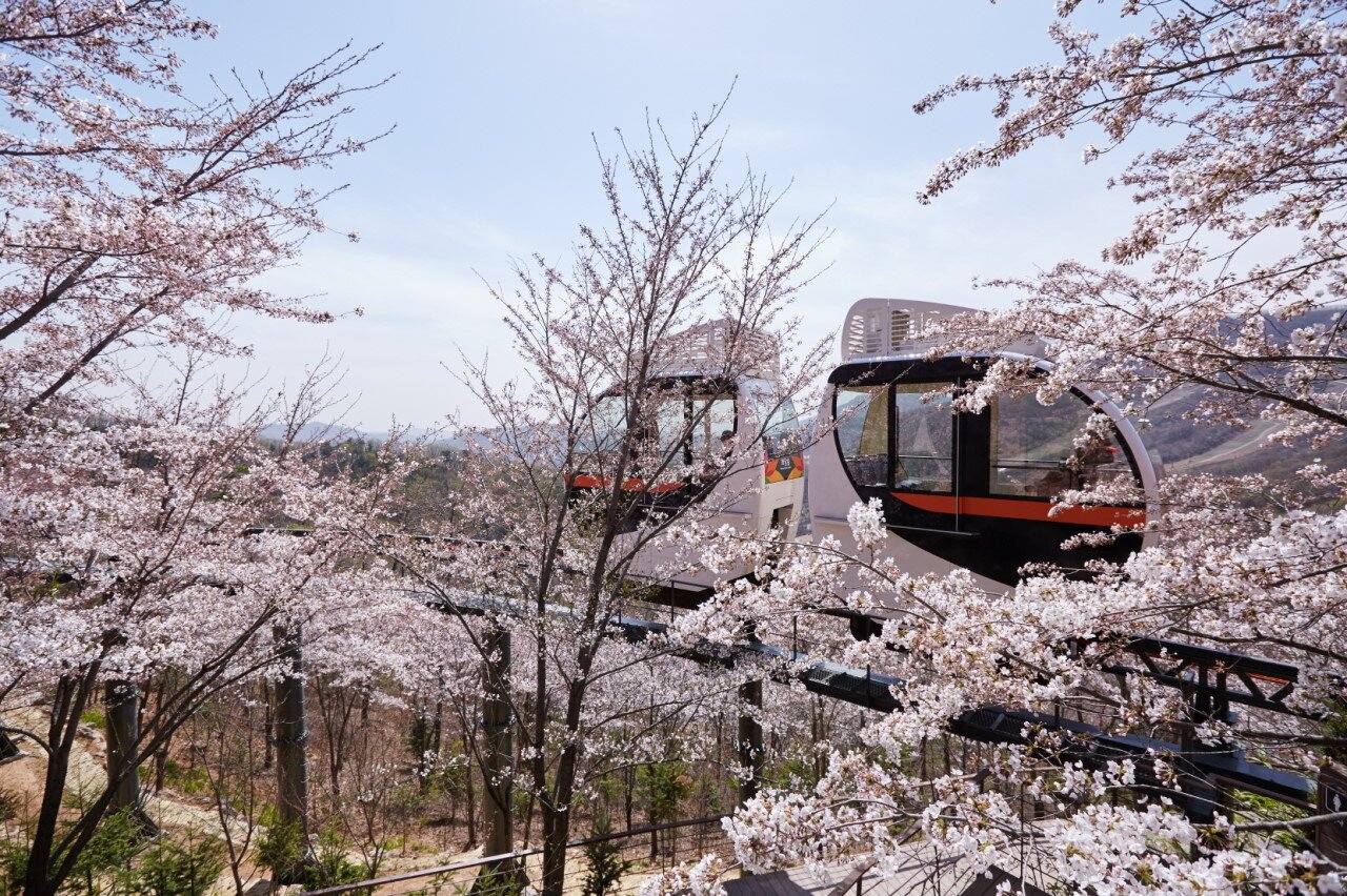 아로스 팝업