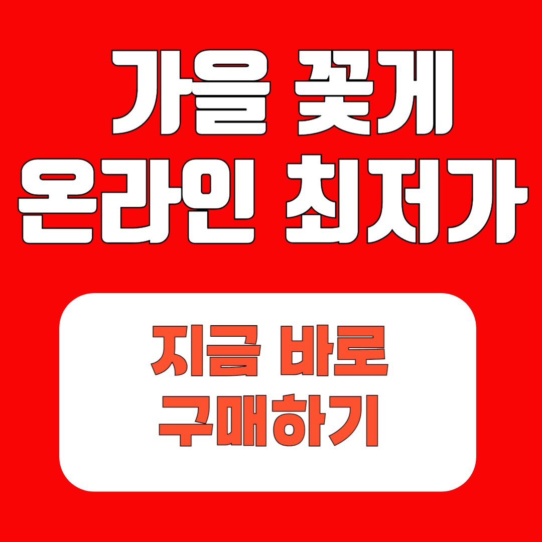 아로스 팝업