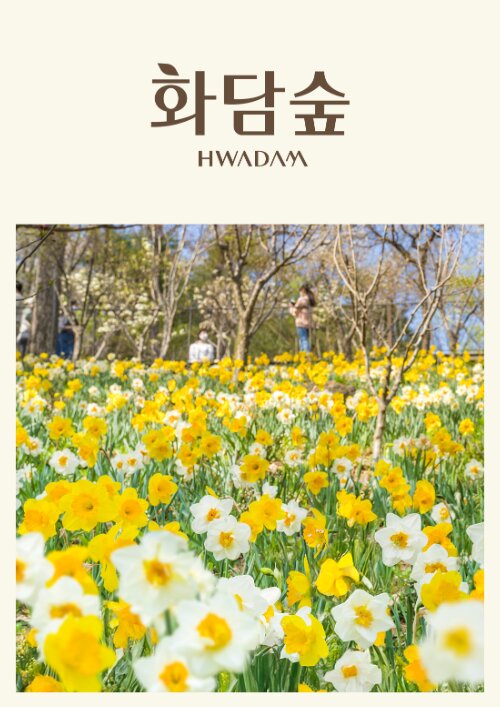 아로스 팝업