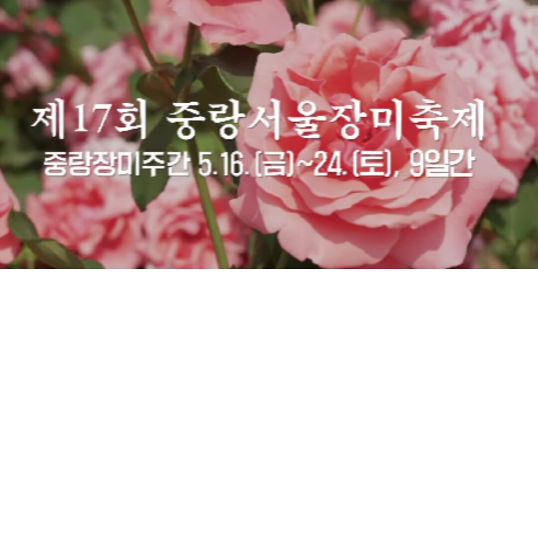 아로스 팝업