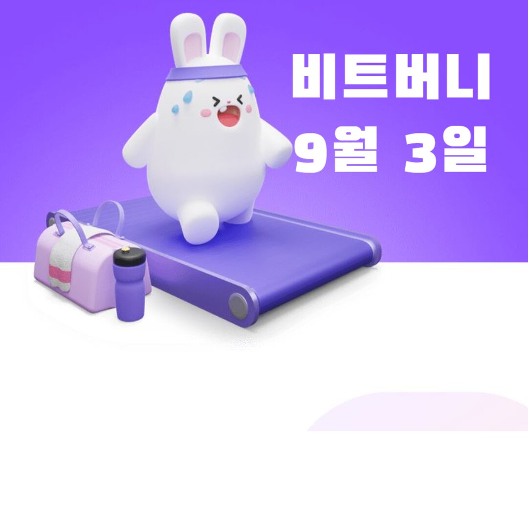 아로스 팝업