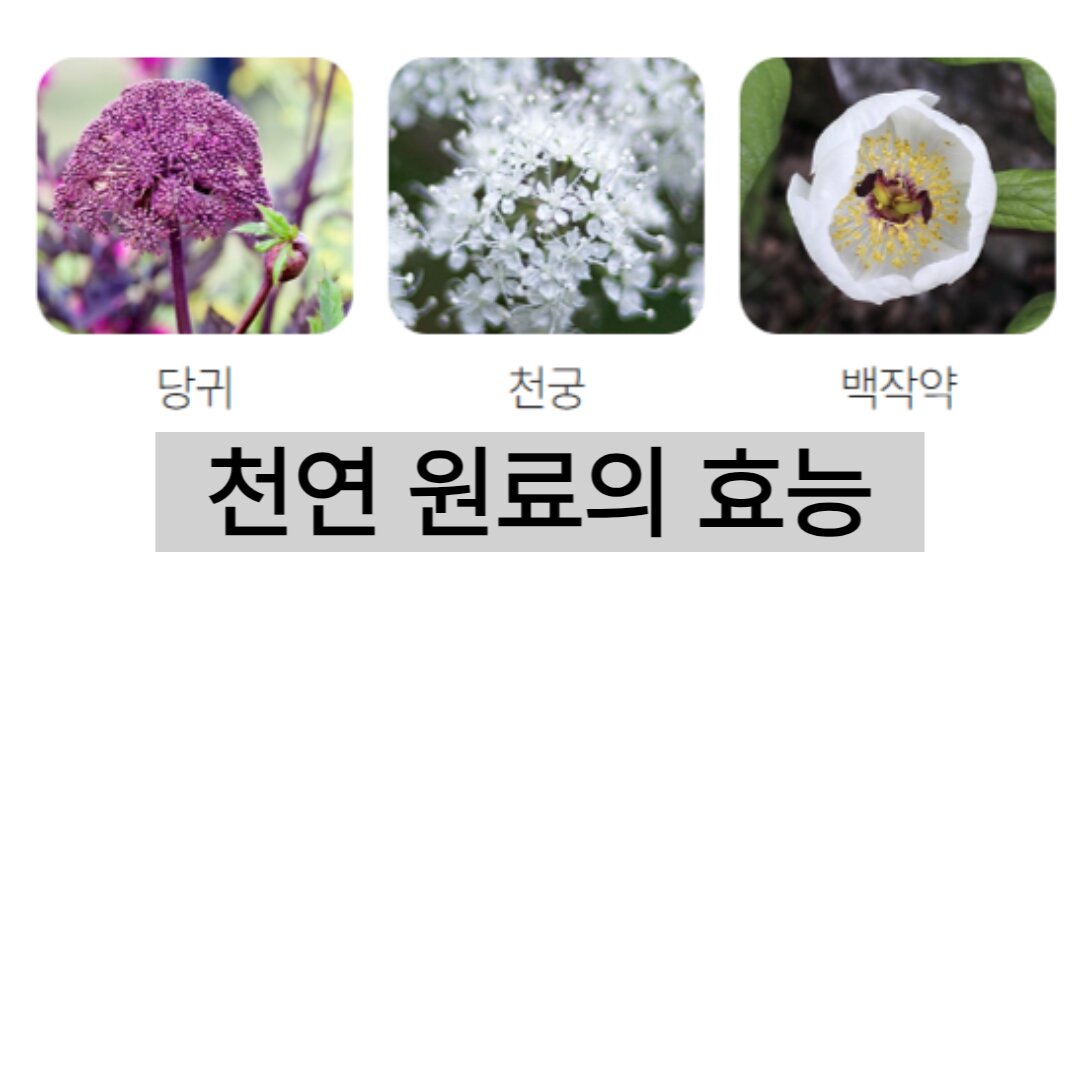 아로스 팝업