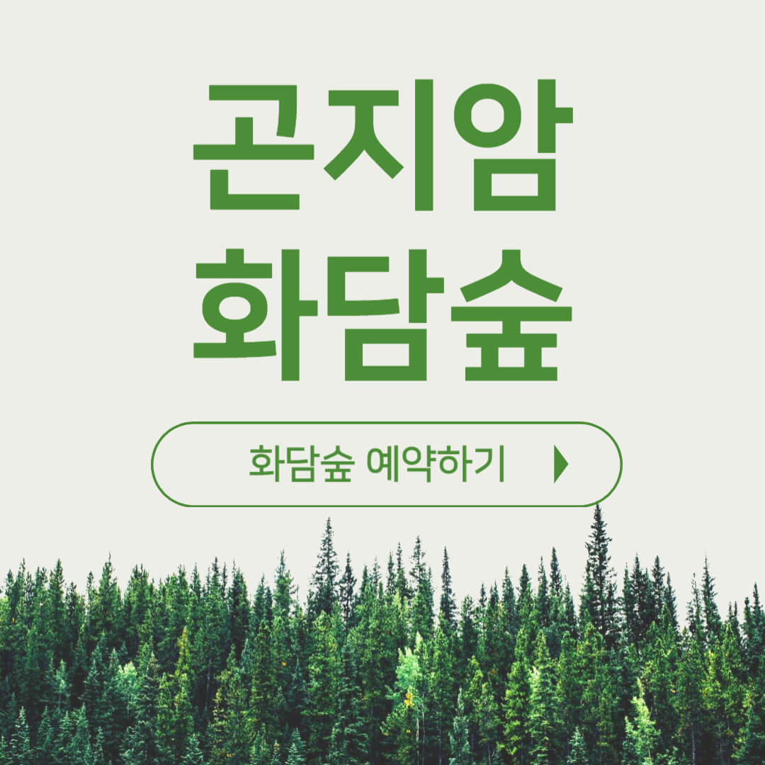 아로스 팝업