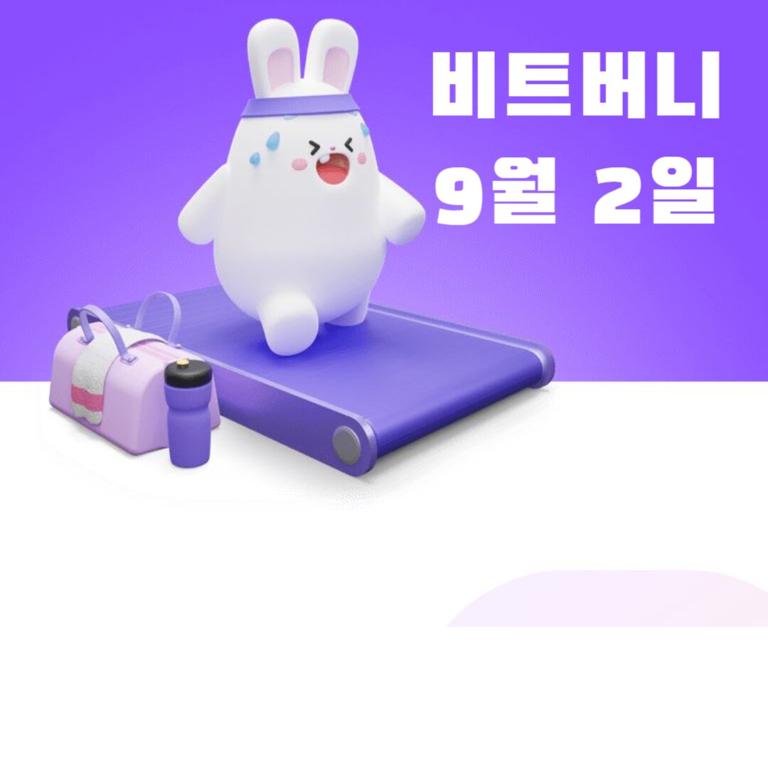 아로스 팝업