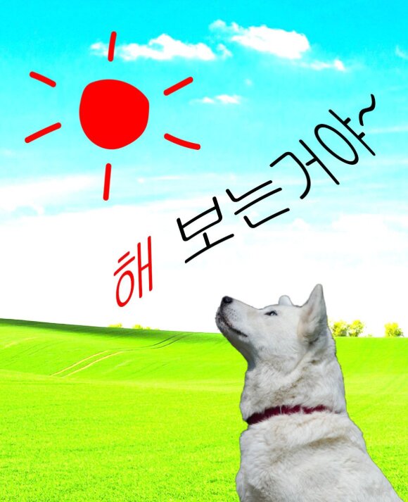 [멤표] 화면깨진대서제목수줄여봄 | 인스티즈